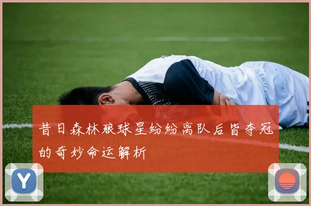 昔日森林狼球星纷纷离队后皆夺冠的奇妙命运解析